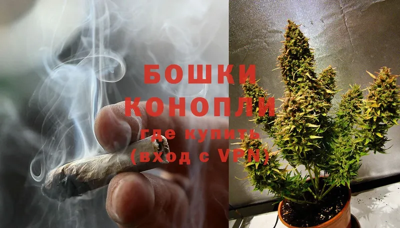 купить закладку  Лодейное Поле  МАРИХУАНА Ganja 